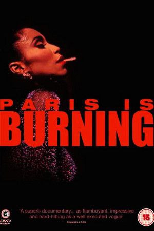 《巴黎在燃烧》豆瓣评分