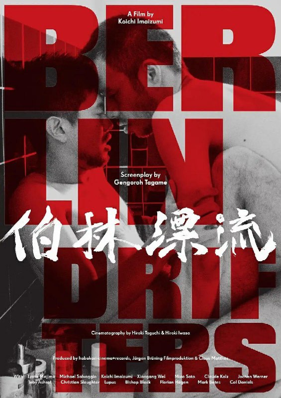 《柏林漂流》豆瓣评分