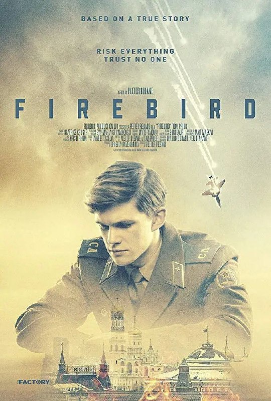 《浴火鸟》IMDB评分