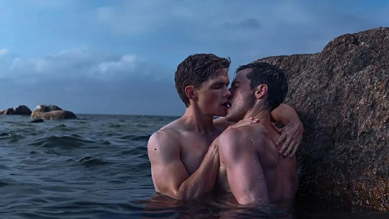 《浴火鸟》IMDB评分