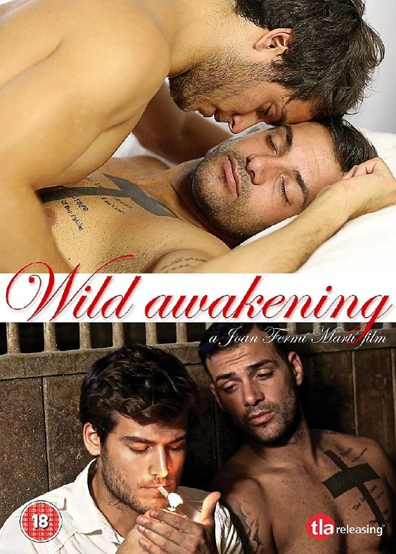 《狂野的觉醒》豆瓣评分