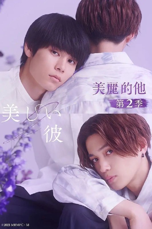 《美丽的他 第二季》豆瓣评分
