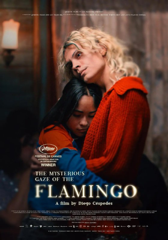 #弗拉明戈的神秘眼神 La misteriosa mirada del flamenco (2025)导演