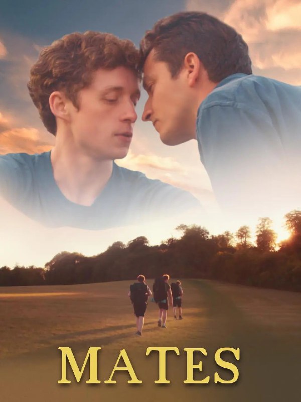 《哥们儿》豆瓣评分